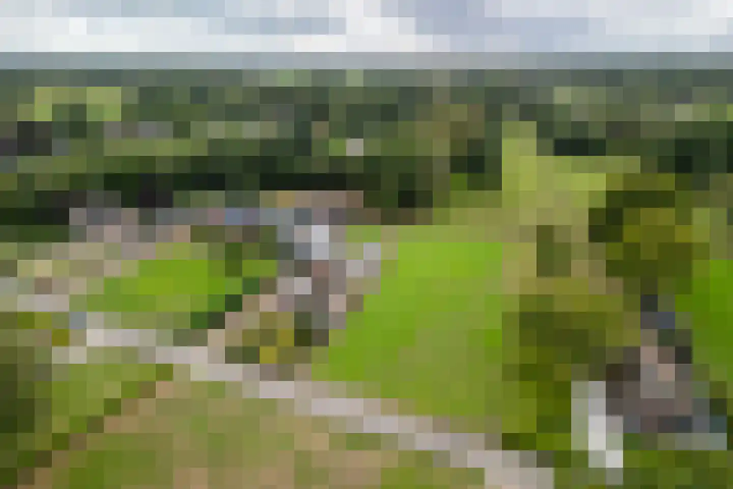 Wildekampseweg 88 Wapenveld thumbnail 41