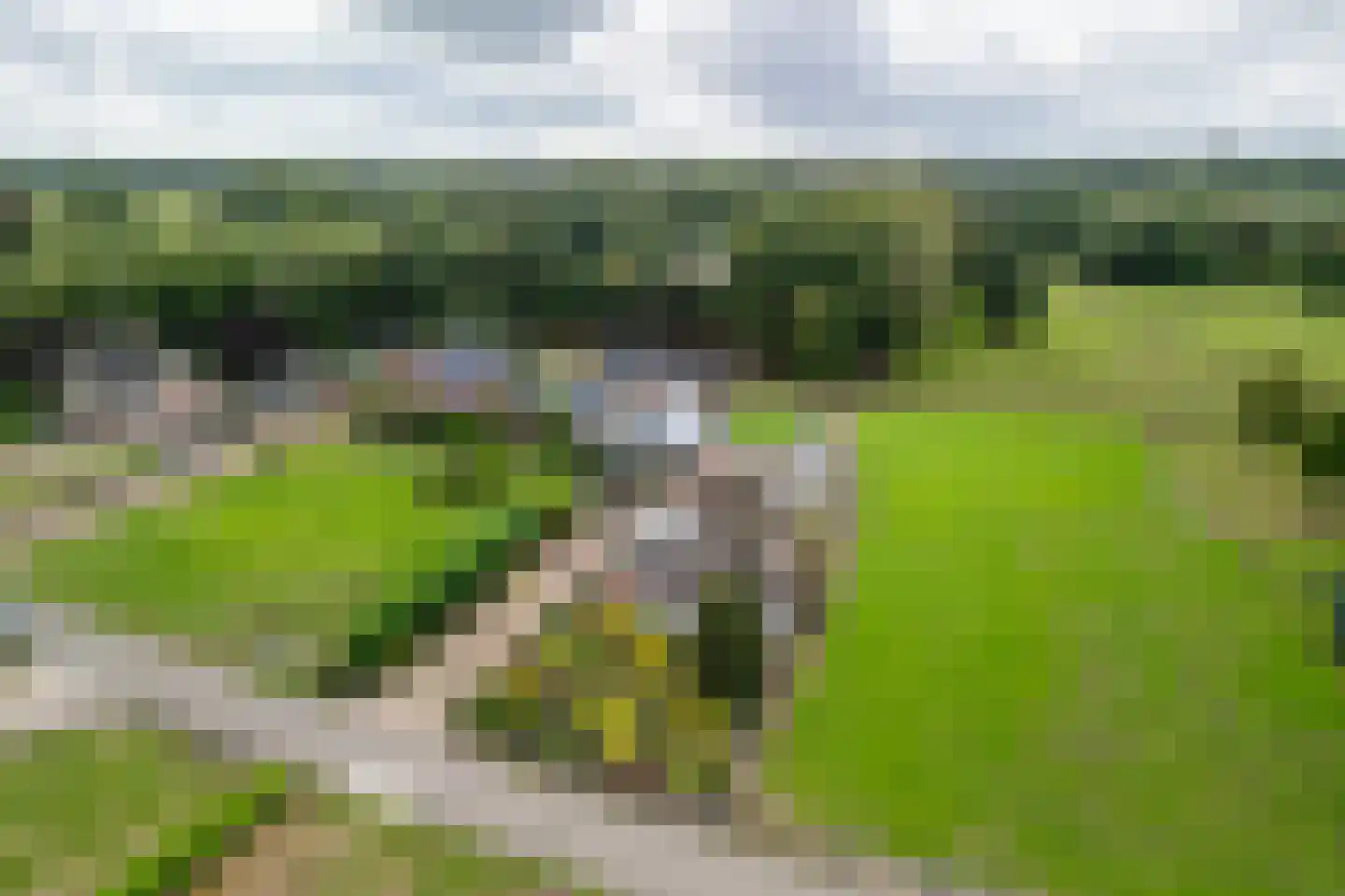 Wildekampseweg 88 Wapenveld thumbnail 48