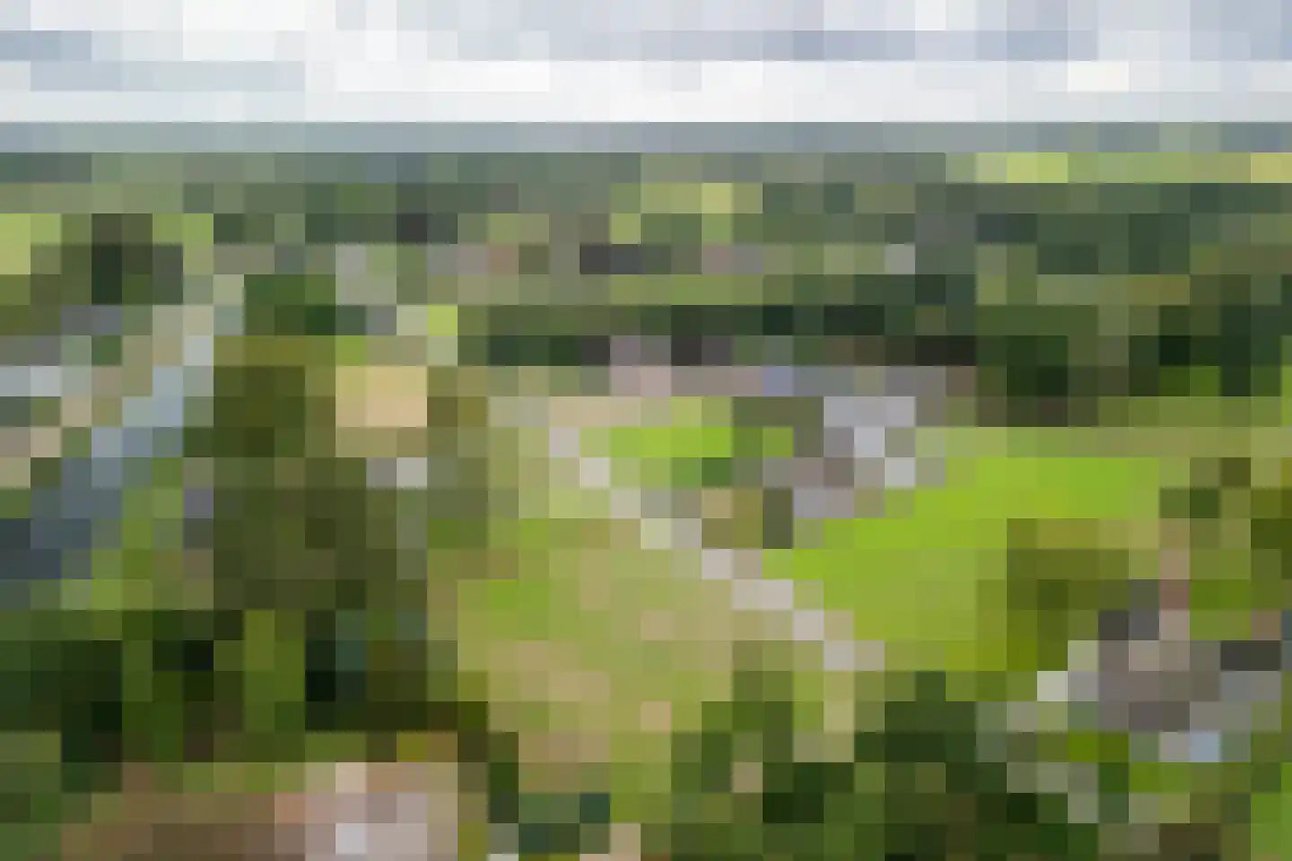 Wildekampseweg 88 Wapenveld thumbnail 5