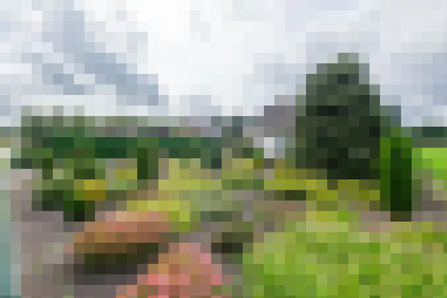 Wildekampseweg 88 Wapenveld thumbnail 51