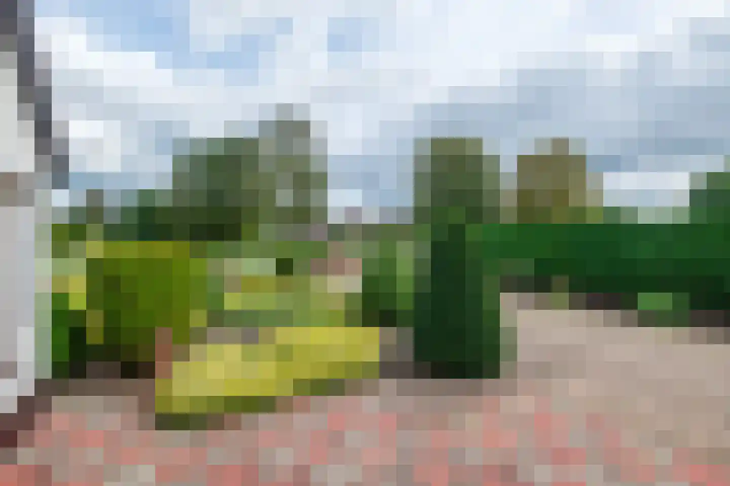Wildekampseweg 88 Wapenveld thumbnail 52