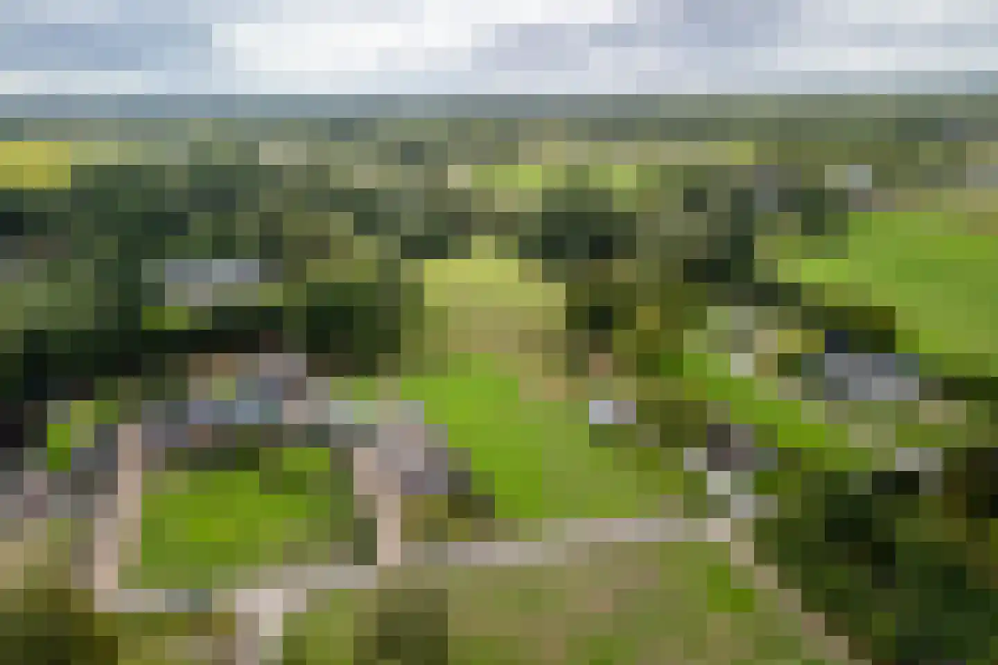 Wildekampseweg 88 Wapenveld thumbnail 6