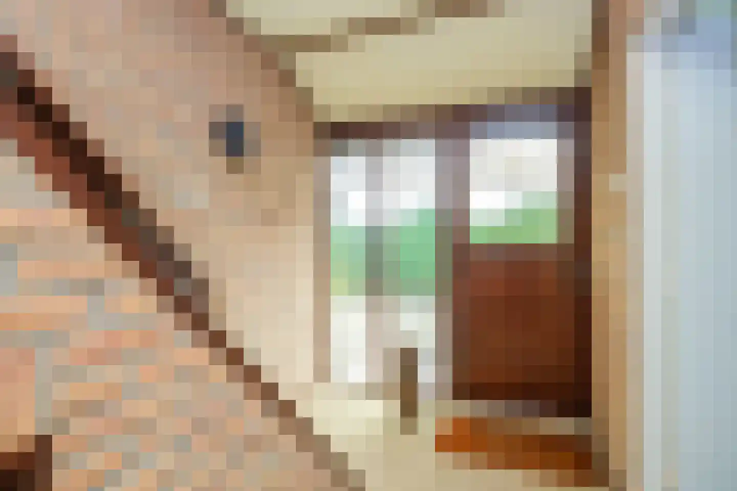 Wildekampseweg 88 Wapenveld thumbnail 9