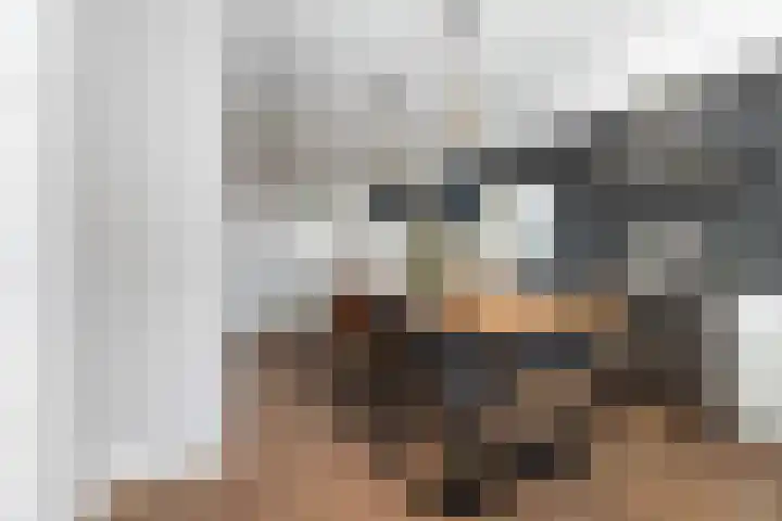 Wildekampsweg 57 Wezep thumbnail 15