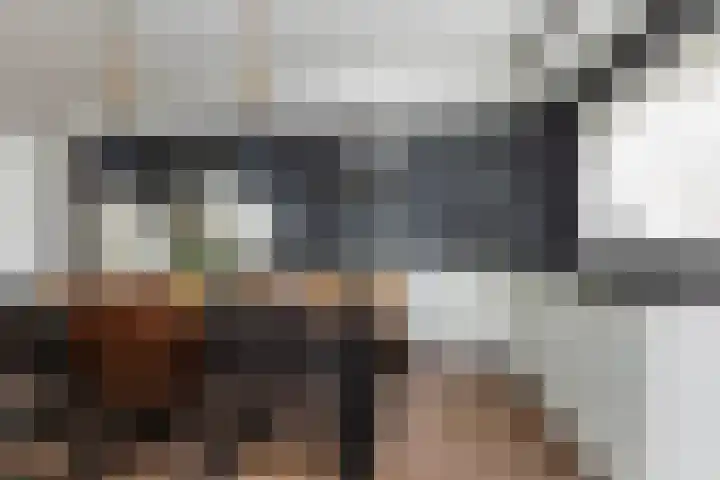 Wildekampsweg 57 Wezep thumbnail 16