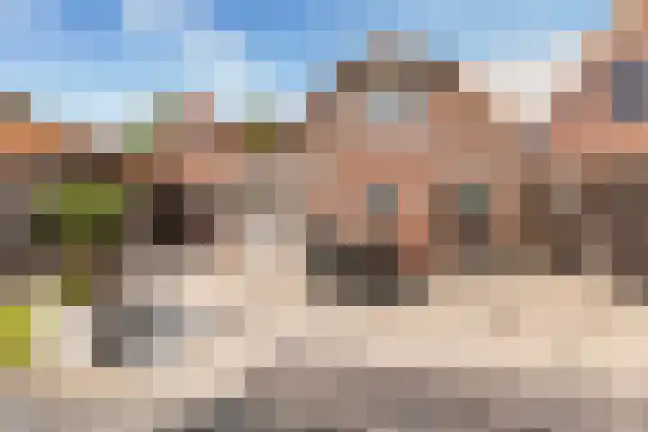 Wildekampsweg 57 Wezep thumbnail 33