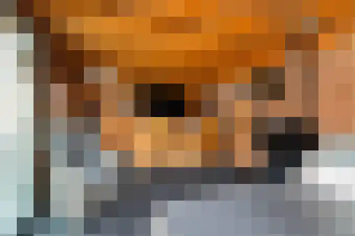 Wildekampsweg 57 Wezep thumbnail 36