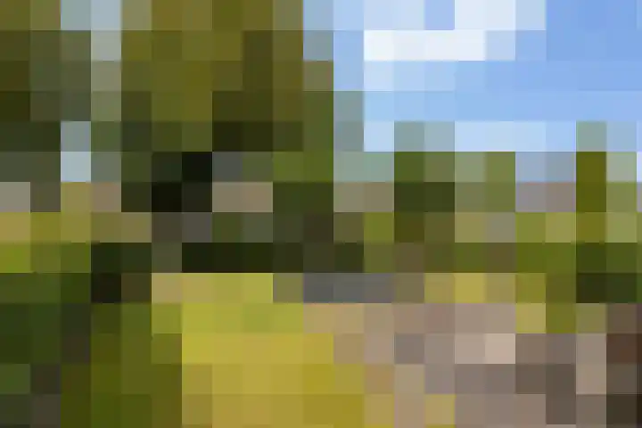 Wildekampsweg 57 Wezep thumbnail 4