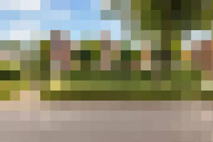 Wildekampsweg 57 Wezep thumbnail 40