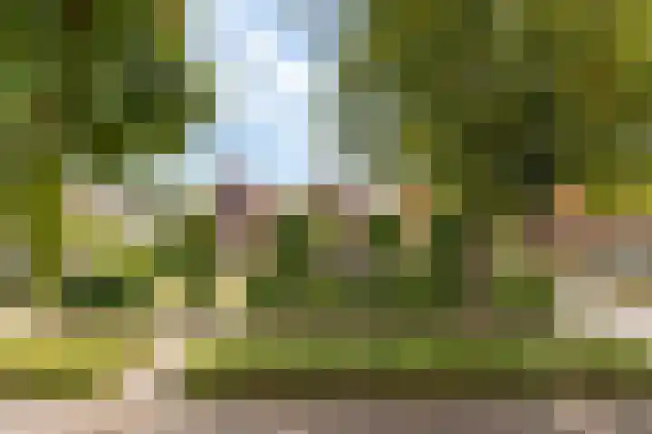 Wildekampsweg 57 Wezep thumbnail 41