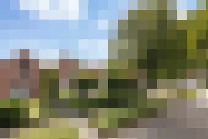Wildekampsweg 57 Wezep thumbnail 42