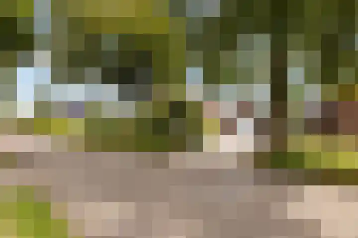 Wildekampsweg 57 Wezep thumbnail 43