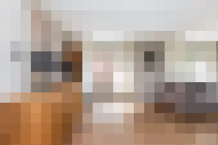 Wildekampsweg 57 Wezep thumbnail 8