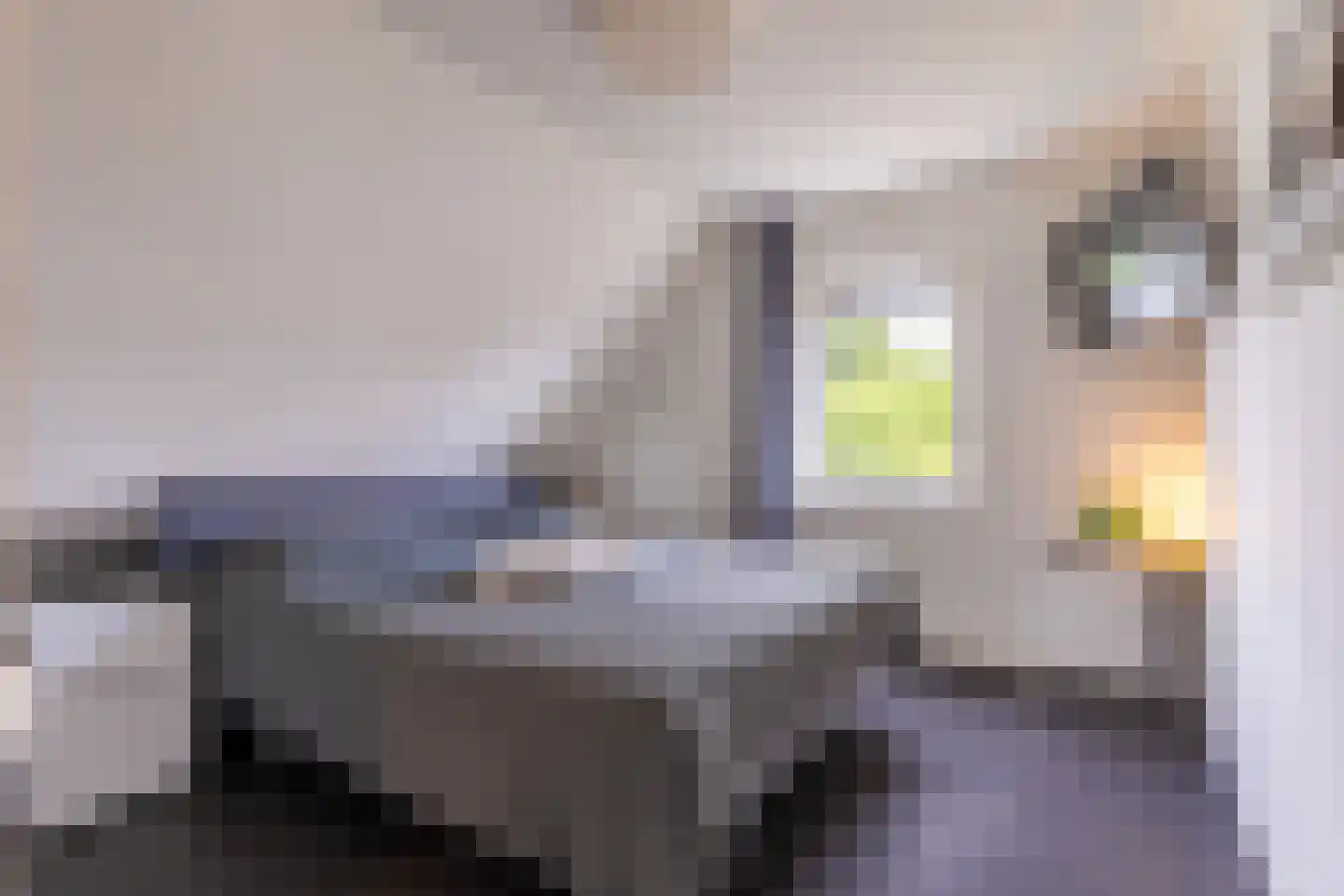 Wildekampsweg 89 A Wezep thumbnail 22