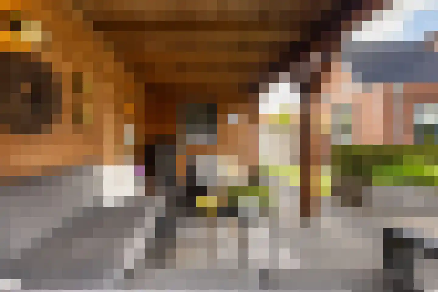 Wildekampsweg 89 A Wezep thumbnail 35