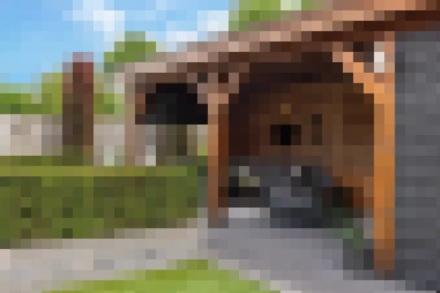 Wildekampsweg 89 A Wezep thumbnail 37