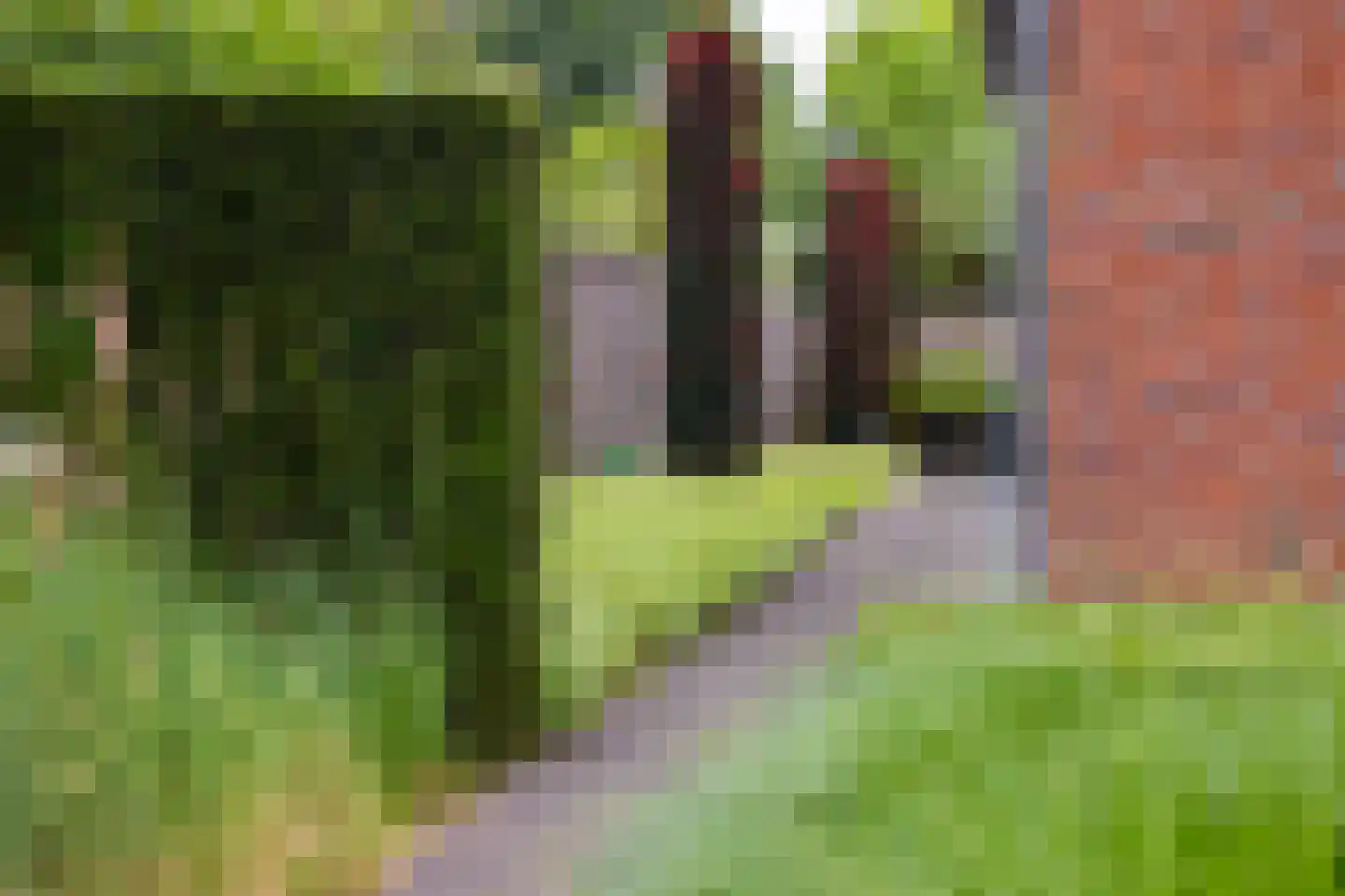 Wildekampsweg 89 A Wezep thumbnail 44