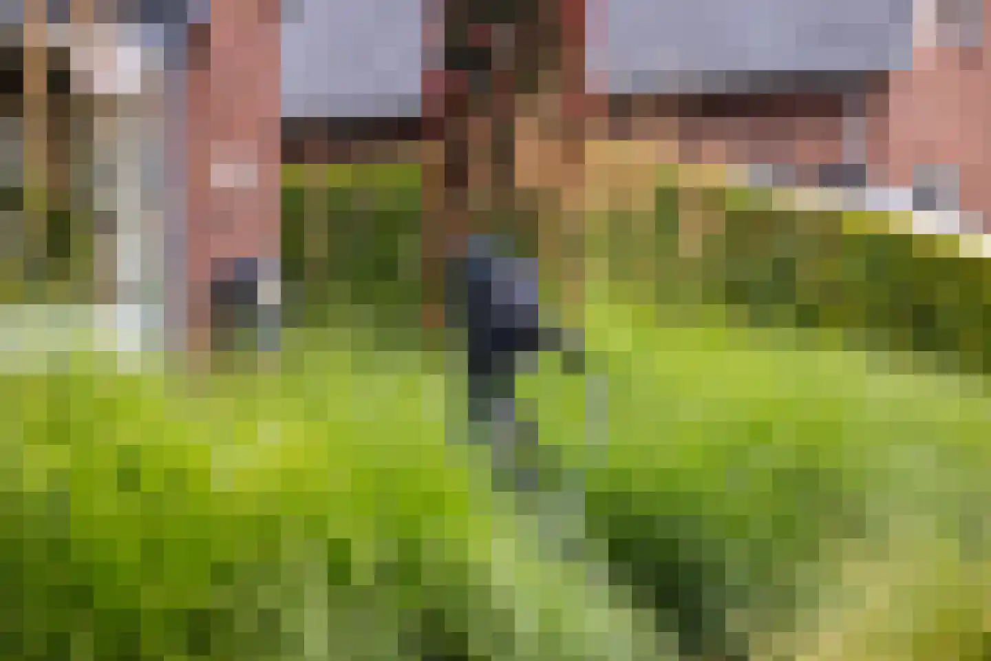 Wildekampsweg 89 A Wezep thumbnail 46