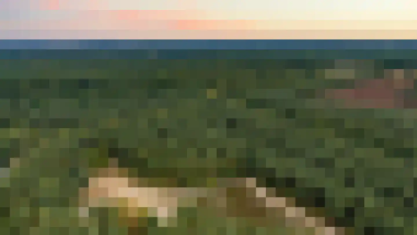 Wildekampsweg 89 A Wezep thumbnail 52
