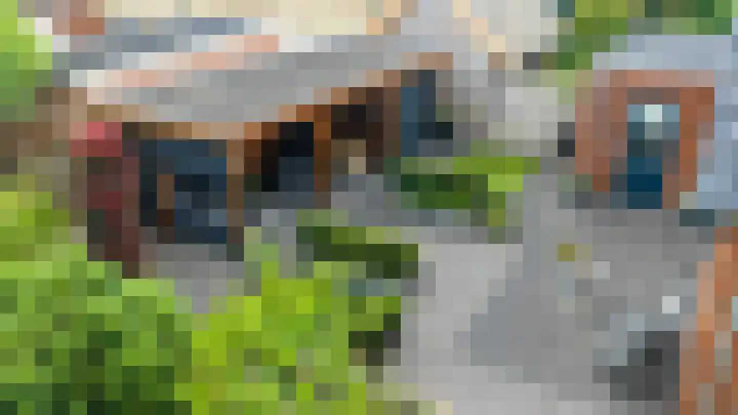 Wildekampsweg 89 A Wezep thumbnail 55