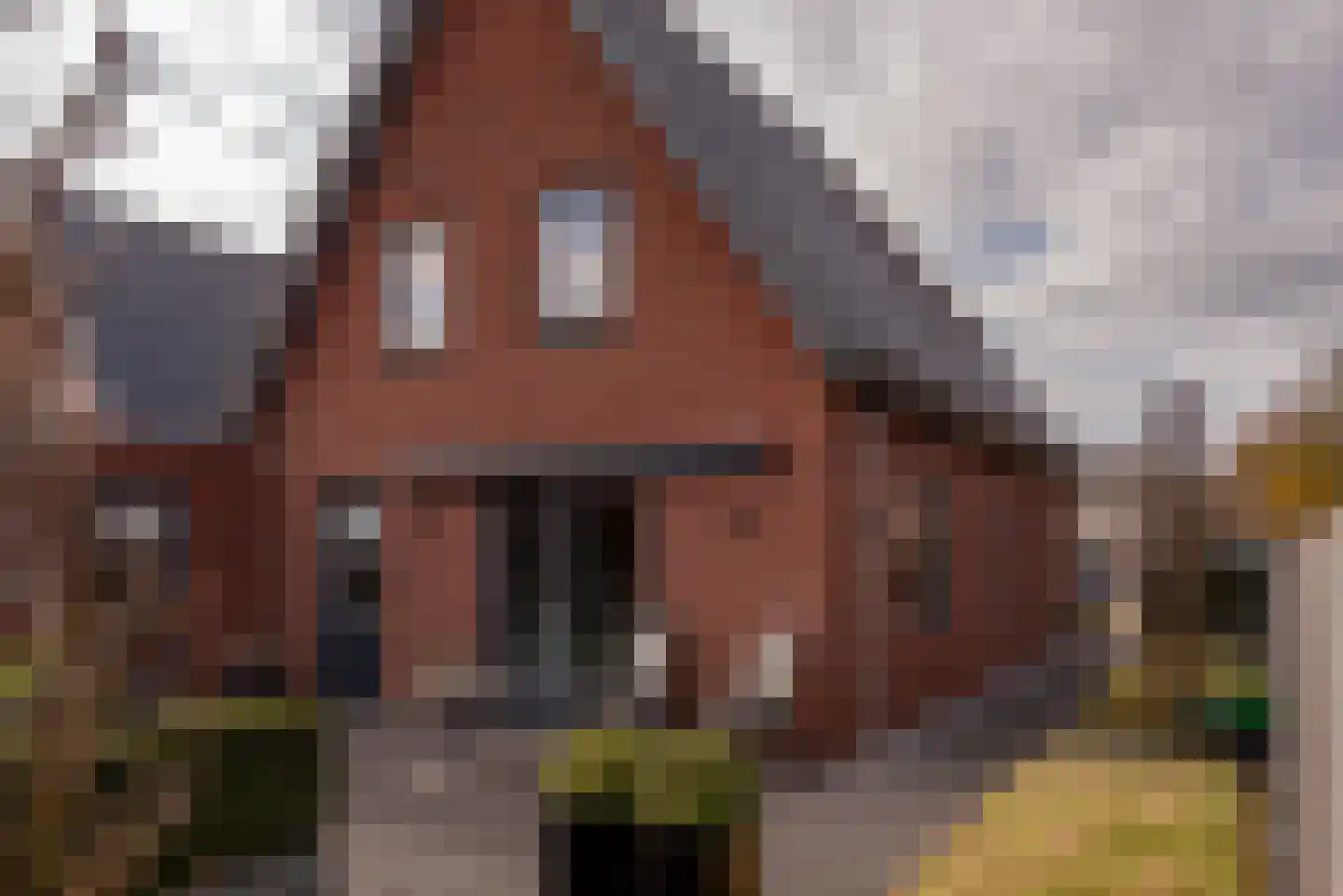 Wildekampsweg 89 A Wezep thumbnail 59