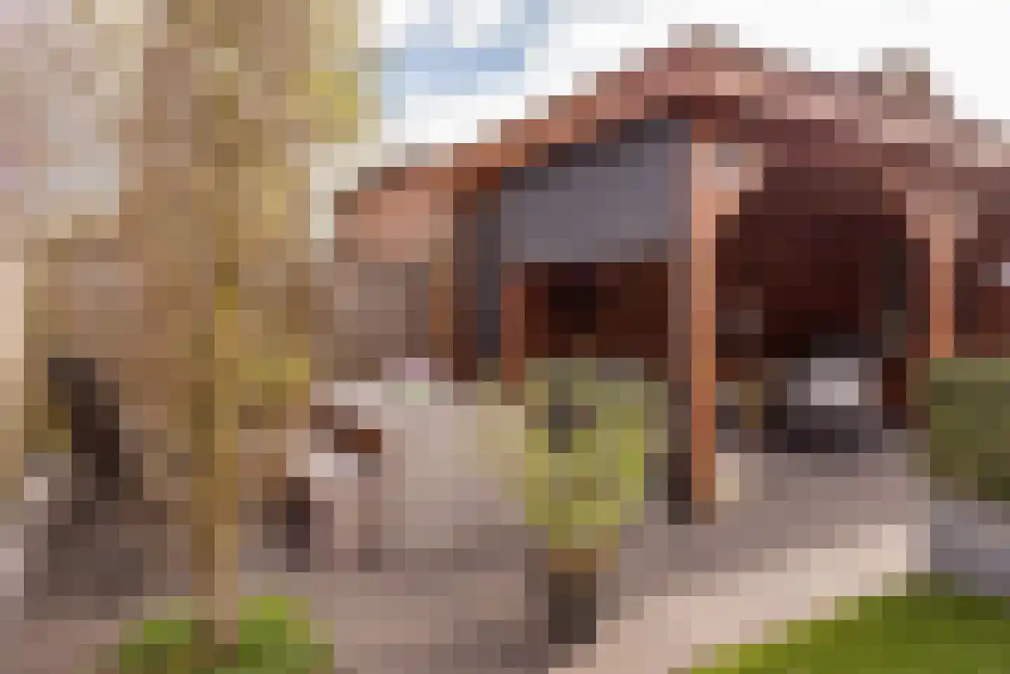 Wildekampsweg 89 A Wezep thumbnail 66