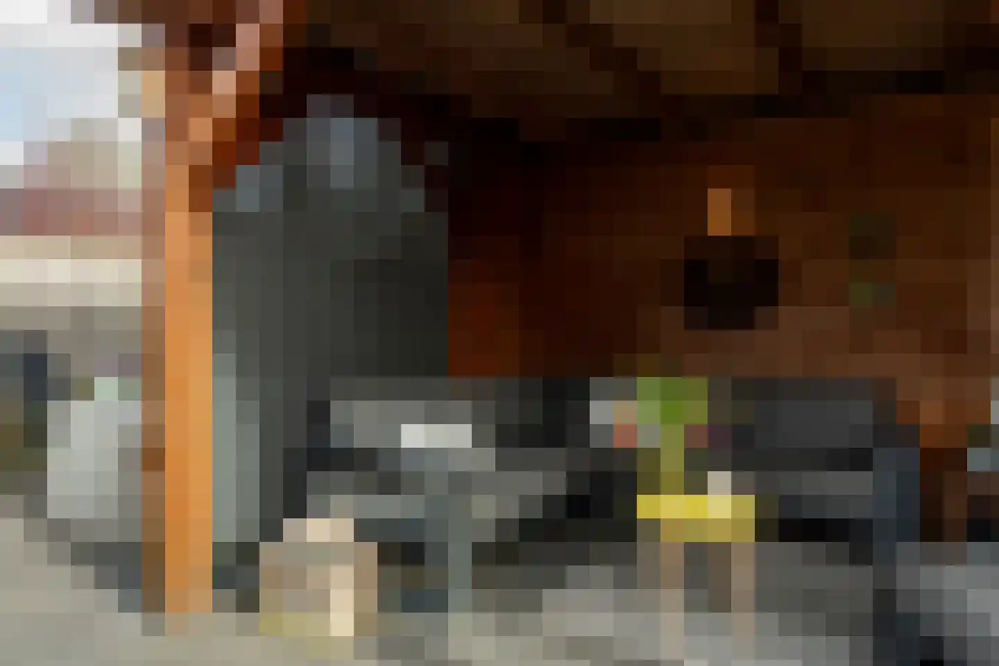 Wildekampsweg 89 A Wezep thumbnail 69
