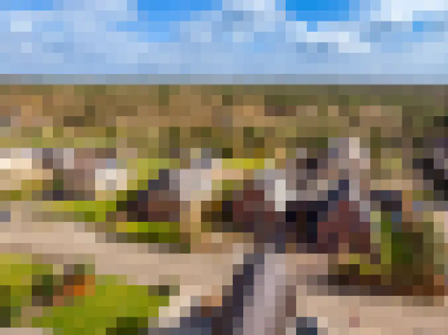 Wildekampsweg 89 A Wezep thumbnail 75
