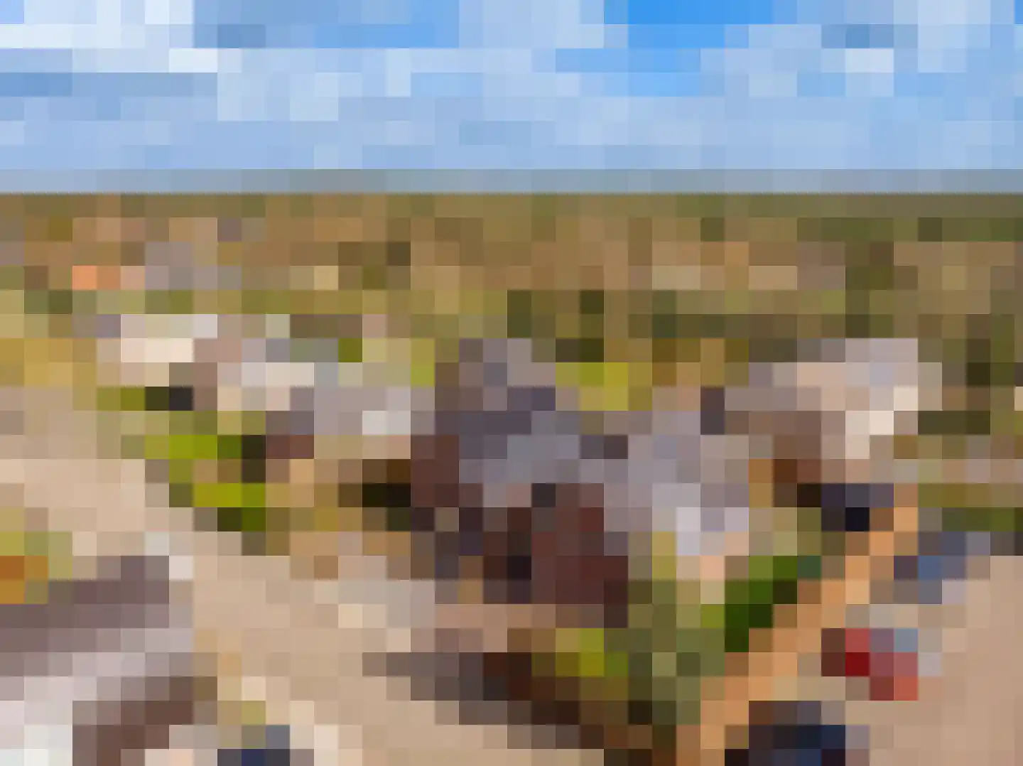 Wildekampsweg 89 A Wezep thumbnail 76