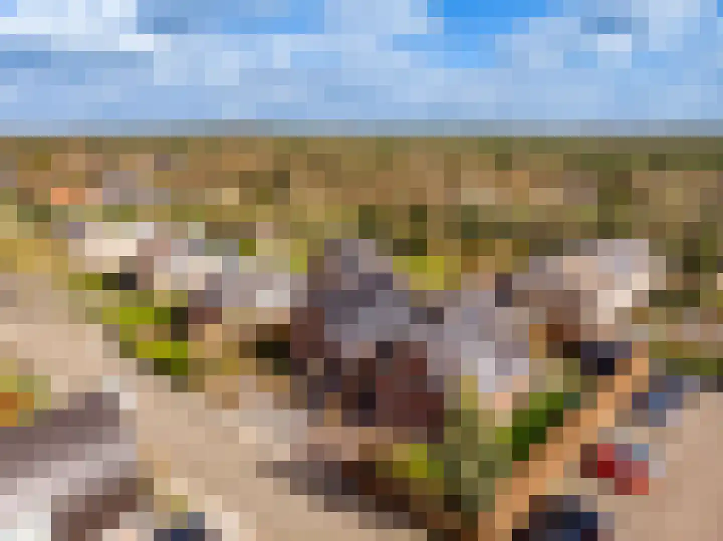 Wildekampsweg 89 A Wezep thumbnail 76
