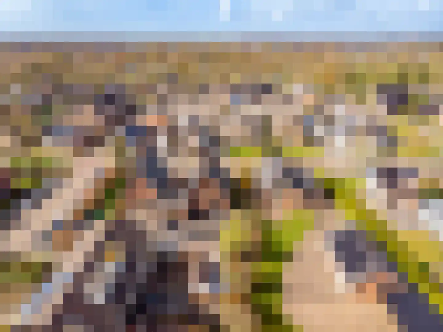 Wildekampsweg 89 A Wezep thumbnail 77