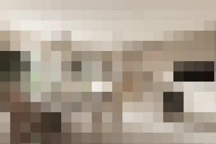 Wildeland 13 Strijen thumbnail 5