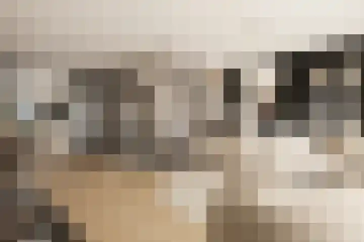 Wildeland 13 Strijen thumbnail 7