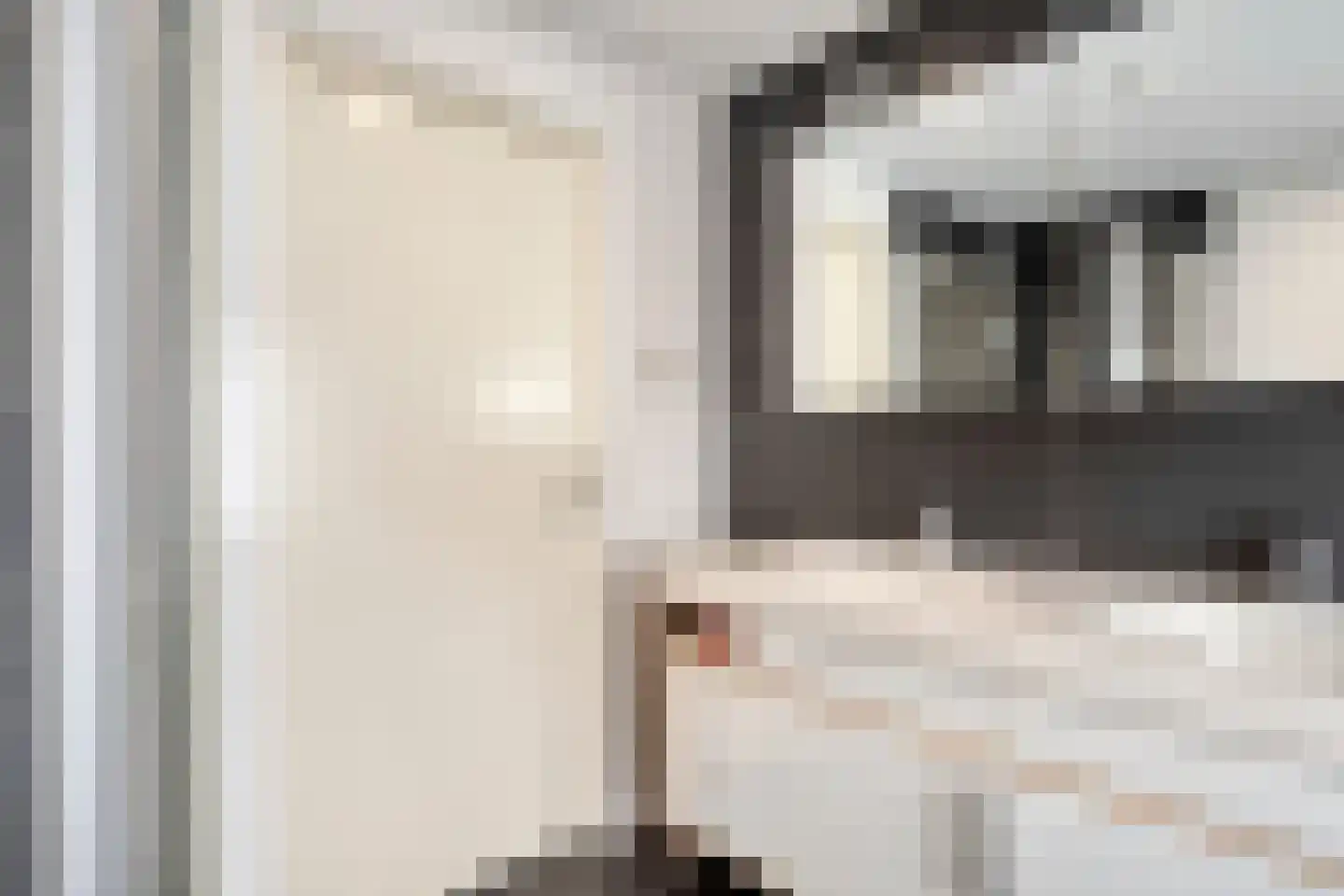 Wildelandenstraat 12 Heikant thumbnail 21
