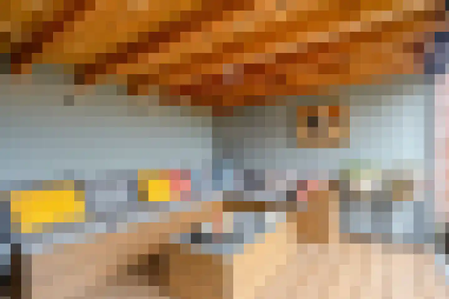 Wildelandenstraat 12 Heikant thumbnail 29