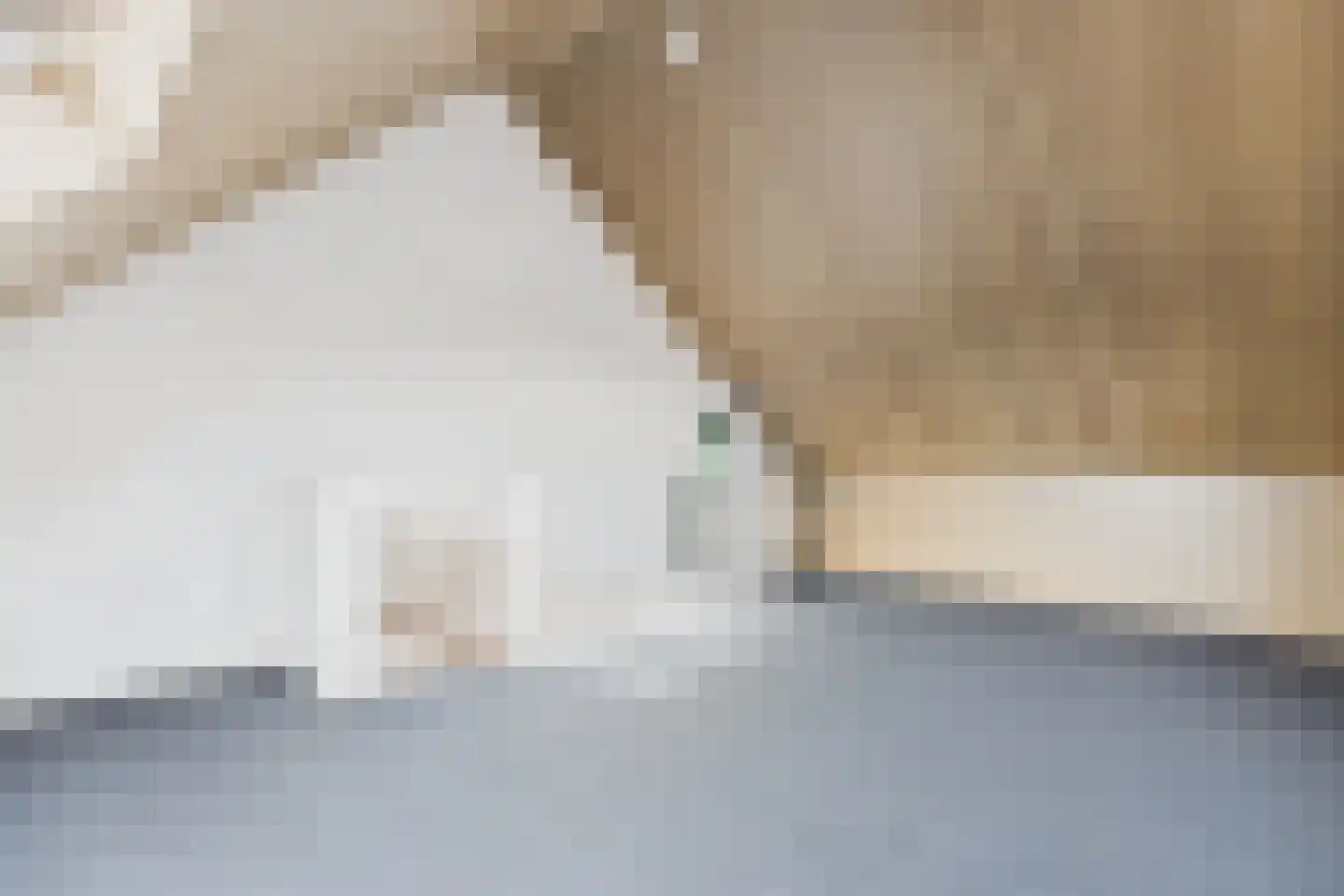 Wildelandenstraat 8 Heikant thumbnail 28