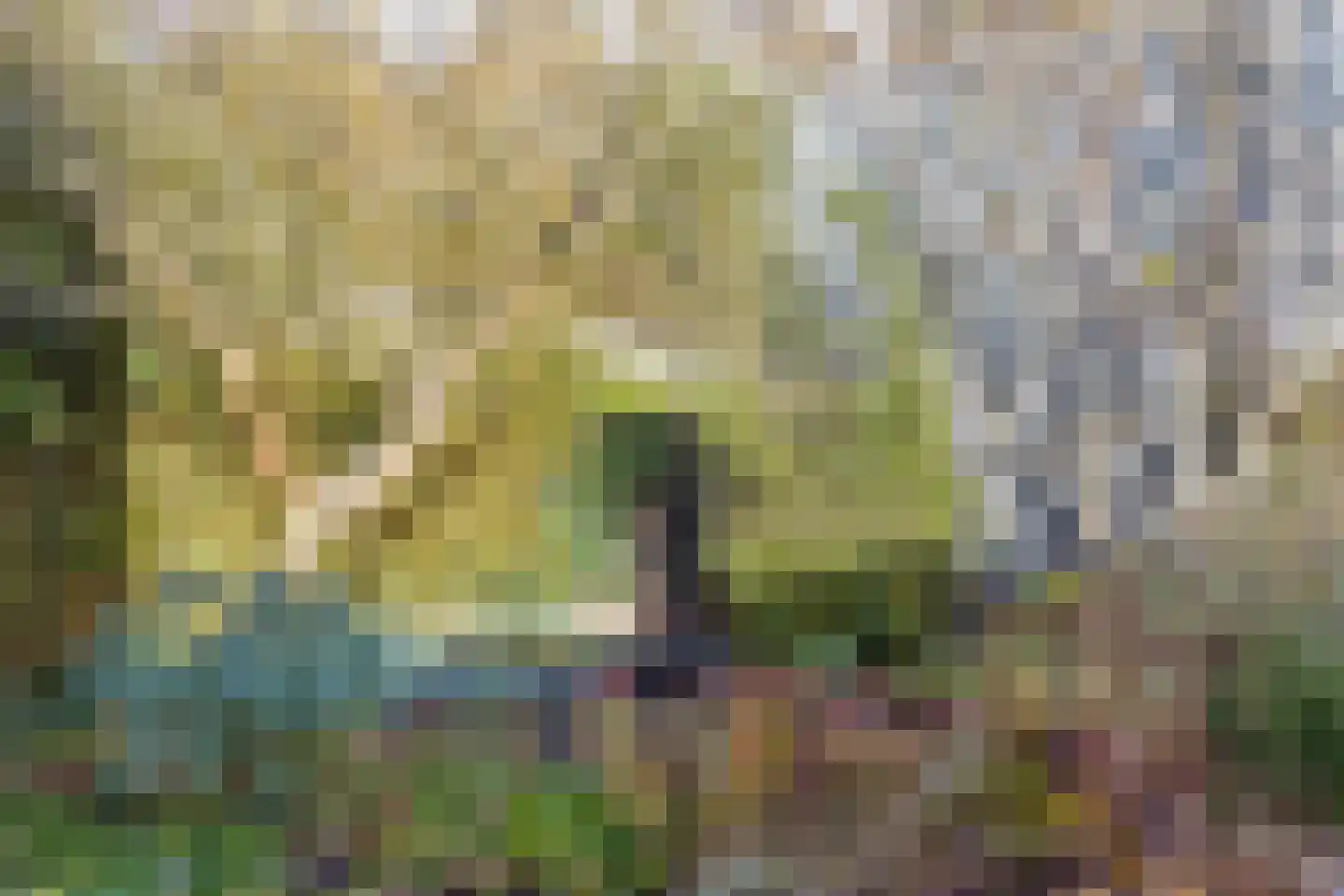 Wildeman 20 Eindhoven thumbnail 39