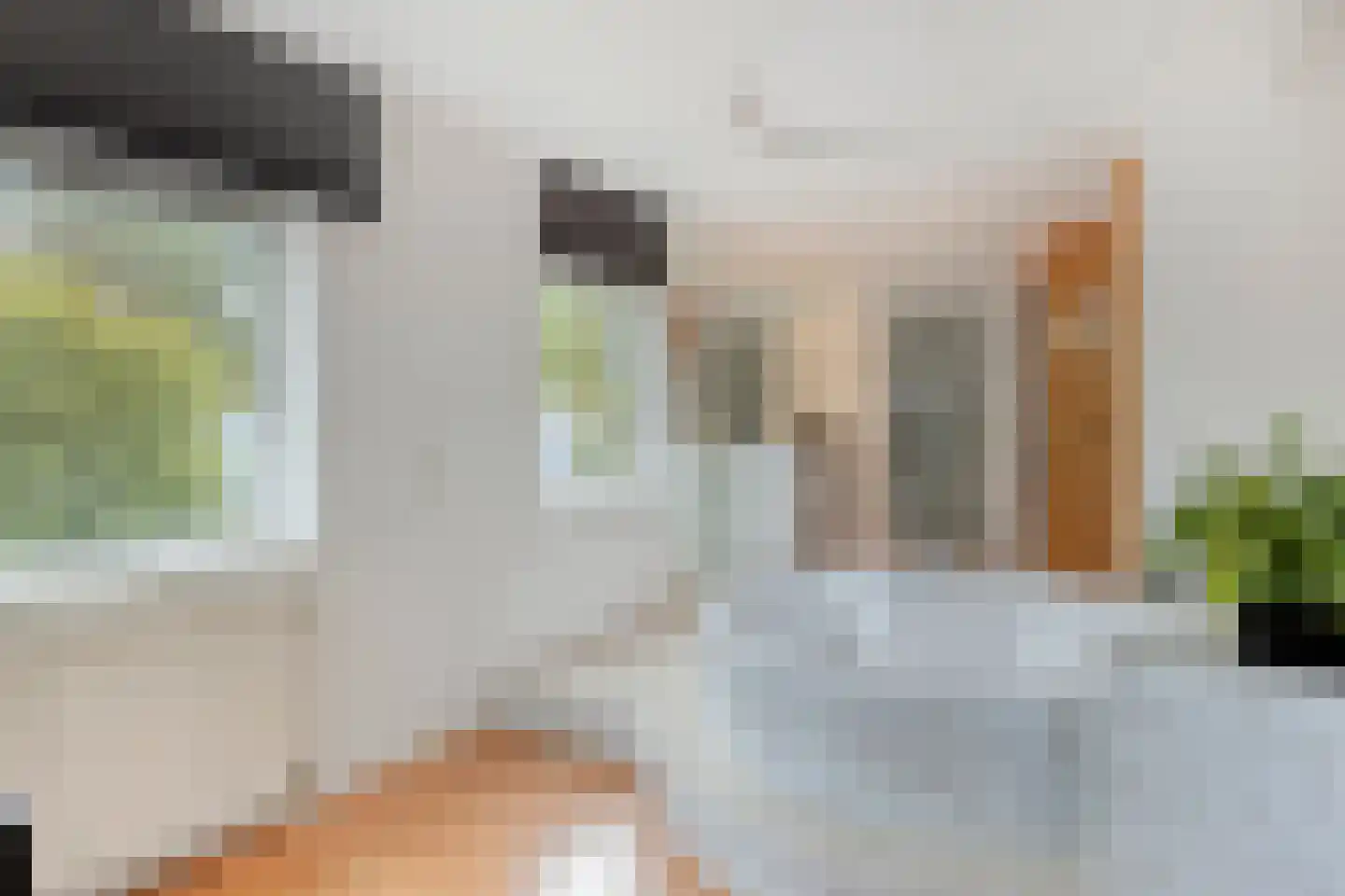 Wildeman 26 Eindhoven thumbnail 10