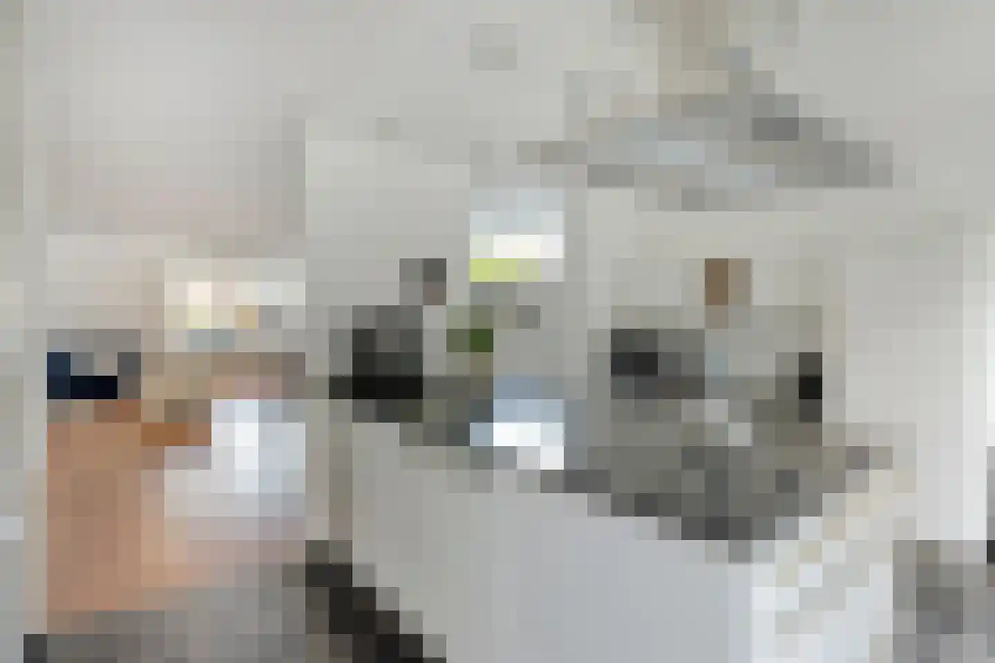 Wildeman 26 Eindhoven thumbnail 8