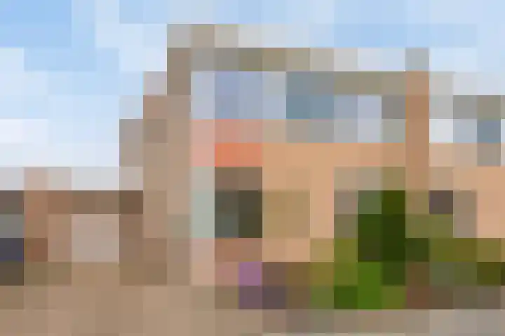 Wildeman 41 in Eindhoven