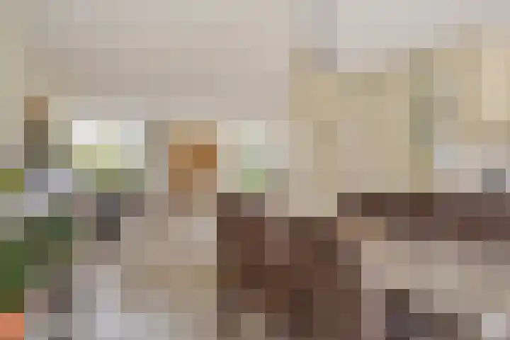 Wildeman 41 Eindhoven thumbnail 15