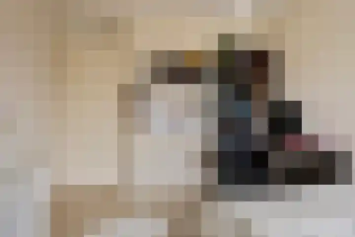 Wildeman 41 Eindhoven thumbnail 25