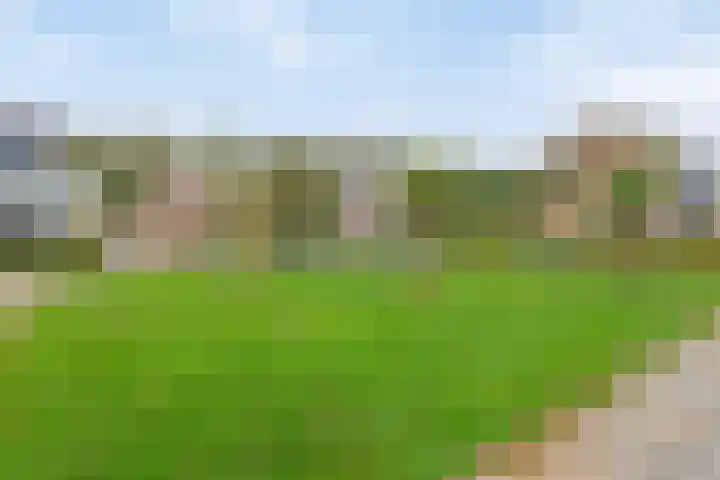 Wildeman 41 Eindhoven thumbnail 4