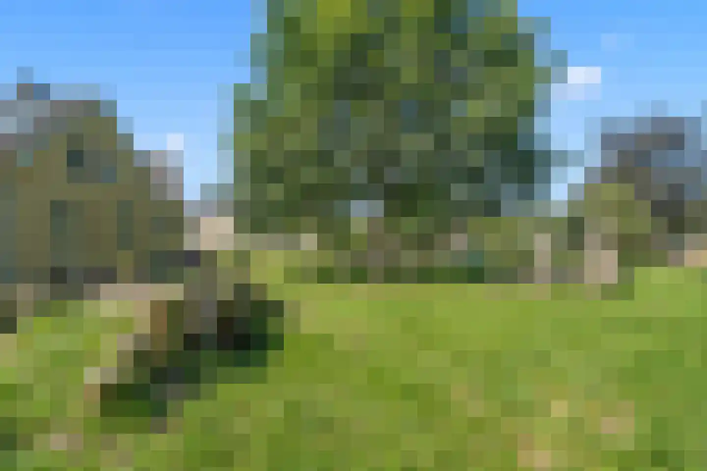 Wildemanskruid 18 Amersfoort thumbnail 28