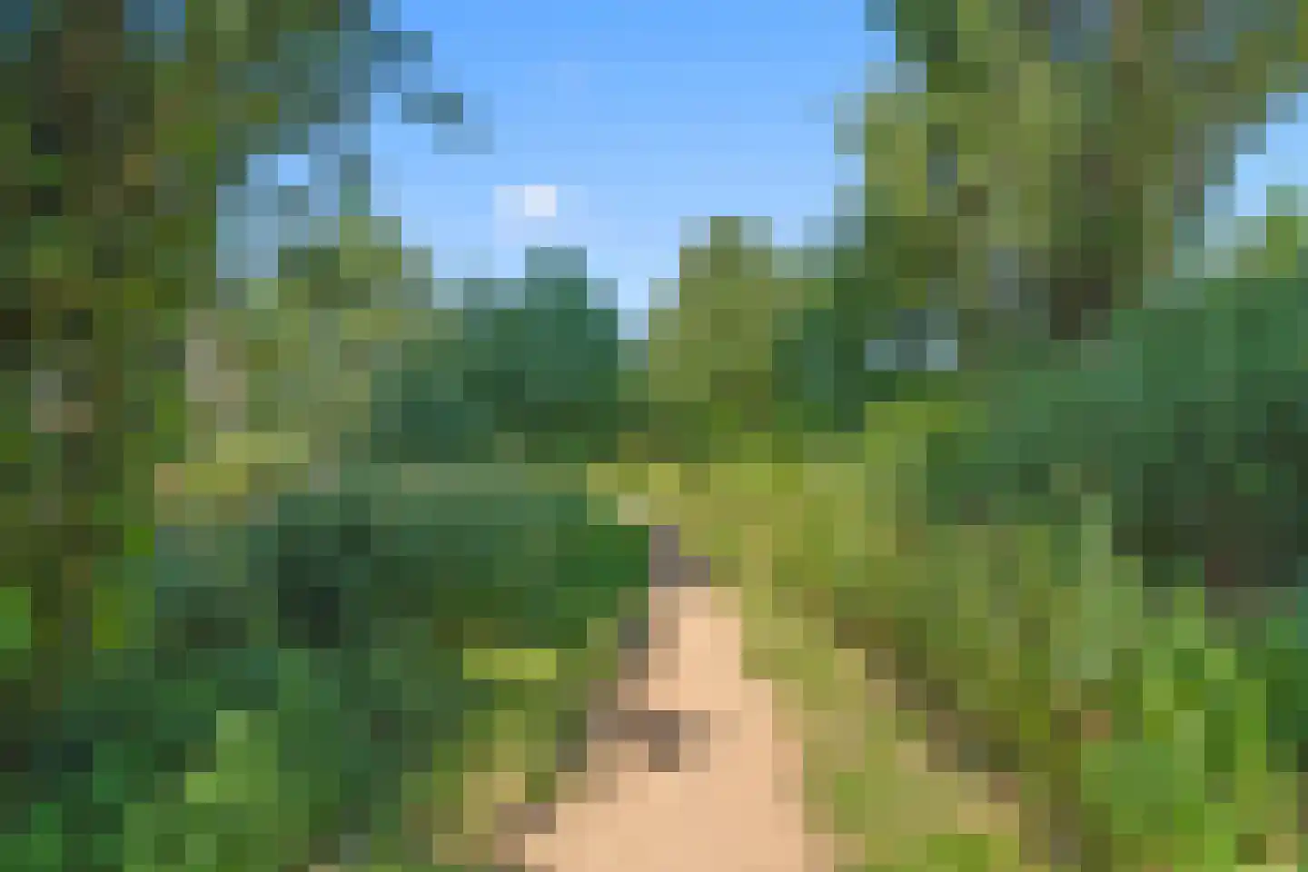 Wildemanskruid 18 Amersfoort thumbnail 30