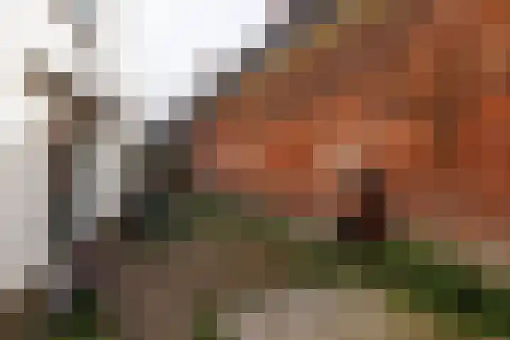 Wildemanstraat 17 Alkmaar thumbnail 23