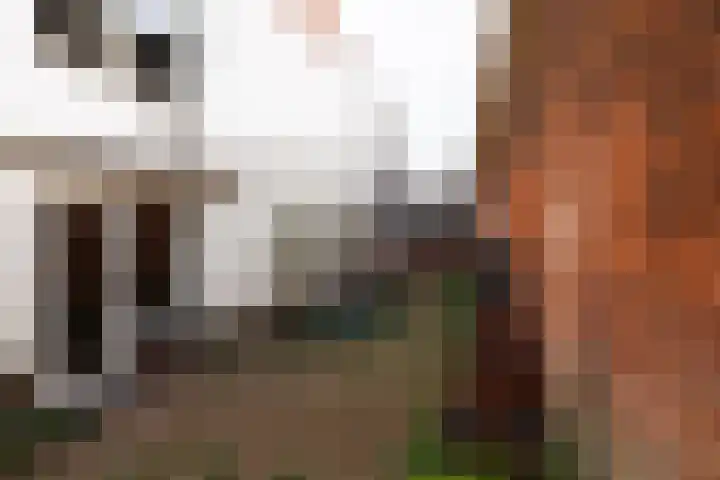 Wildemanstraat 17 Alkmaar thumbnail 24
