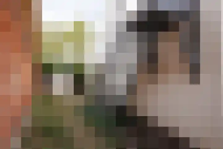 Wildemanstraat 17 Alkmaar thumbnail 31