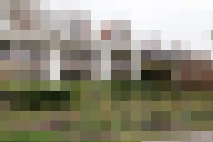 Wildemanstraat 17 Alkmaar thumbnail 34