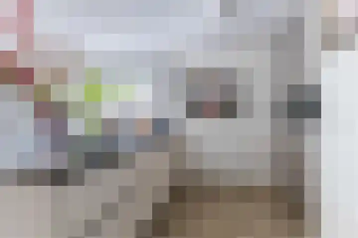 Wildemanstraat 20 Alkmaar thumbnail 17